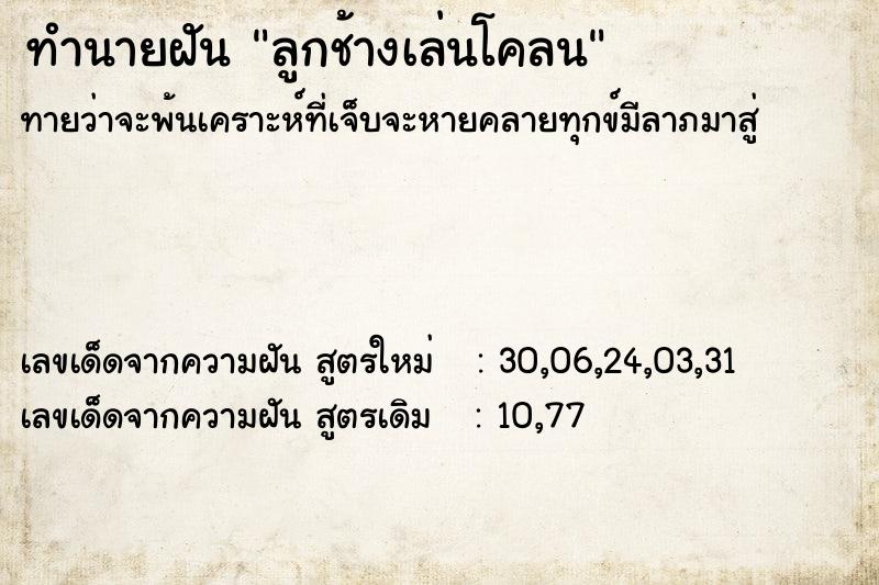 ทำนายฝันทำนายฝันลูกช้างเล่นโคลน