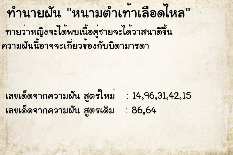 ทำนายฝันหนามตำเท้าเลือดไหล ทำนายฝันทำนายฝันหนามตำเท้าเลือดไหล