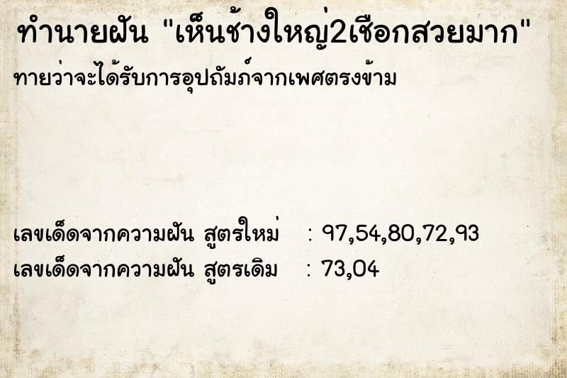 ทำนายฝันเห็นช้างใหญ่2เชือกสวยมาก ทำนายฝันทำนายฝันเห็นช้างใหญ่2เชือกสวยมาก