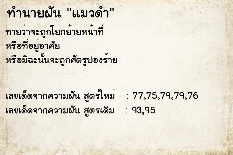 ทำนายฝัน แมวดำ ทำนายฝัน แมวดำ