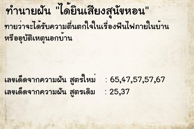 ทำนายฝันได้ยินเสียงสุนัขหอน ทำนายฝันทำนายฝันได้ยินเสียงสุนัขหอน