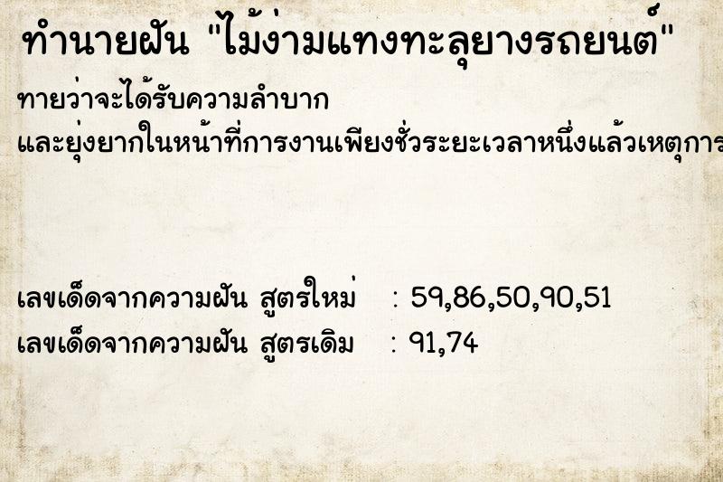 ทำนายฝันไม้ง่ามแทงทะลุยางรถยนต์ ทำนายฝันทำนายฝันไม้ง่ามแทงทะลุยางรถยนต์