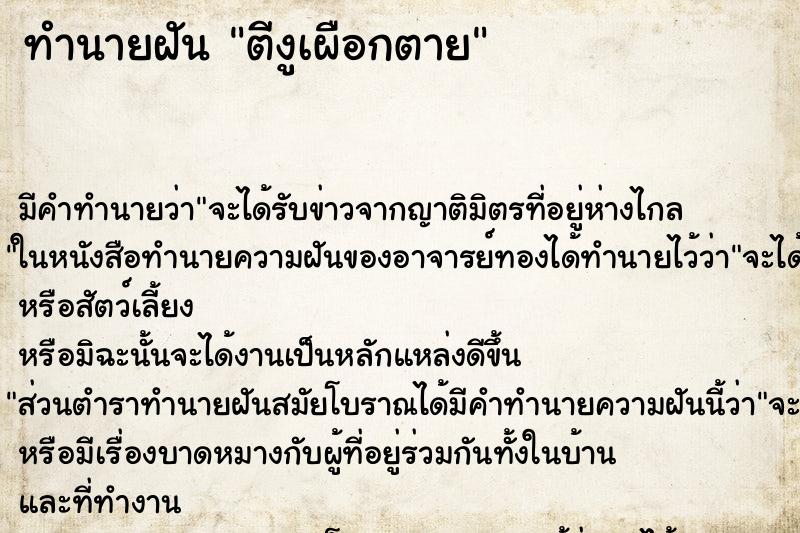 ทำนายฝัน ตีงูเผือกตาย ทำนายฝัน ตีงูเผือกตาย