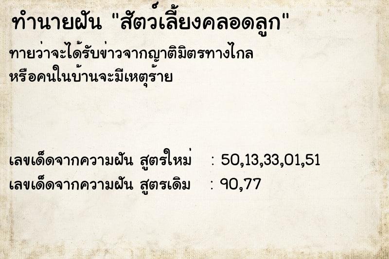 ทำนายฝันสัตว์เลี้ยงคลอดลูก ทำนายฝันทำนายฝันสัตว์เลี้ยงคลอดลูก