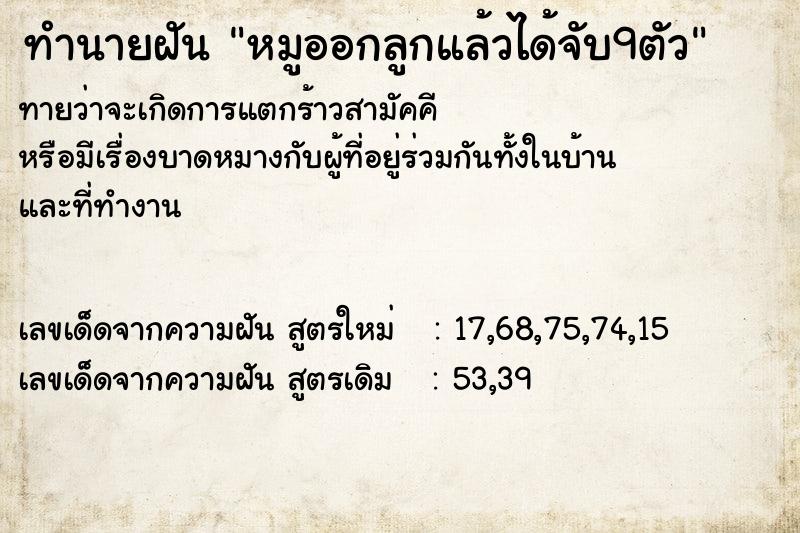 ทำนายฝันทำนายฝันหมูออกลูกแล้วได้จับ9ตัว