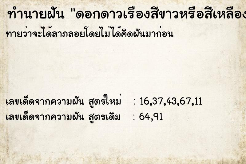 ทำนายฝันดอกดาวเรืองสีขาวหรือสีเหลือง ทำนายฝันทำนายฝันดอกดาวเรืองสีขาวหรือสีเหลือง