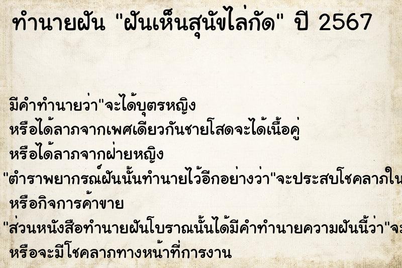 ทำนายฝัน ฝันเห็นสุนัขไล่กัด ทำนายฝัน ฝันเห็นสุนัขไล่กัด