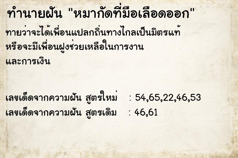 ทำนายฝันหมากัดที่มือเลือดออก ทำนายฝันทำนายฝันหมากัดที่มือเลือดออก