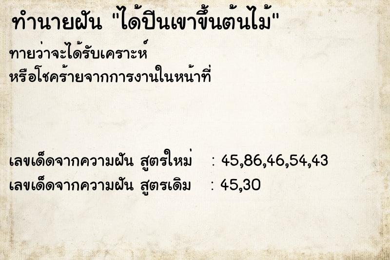 ทำนายฝันได้ปีนเขาขึ้นต้นไม้ ทำนายฝันทำนายฝันได้ปีนเขาขึ้นต้นไม้
