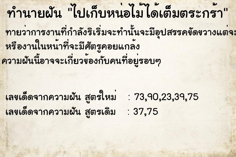 ทำนายฝันทำนายฝันไปเก็บหน่อไม้ได้เต็มตระกร้า
