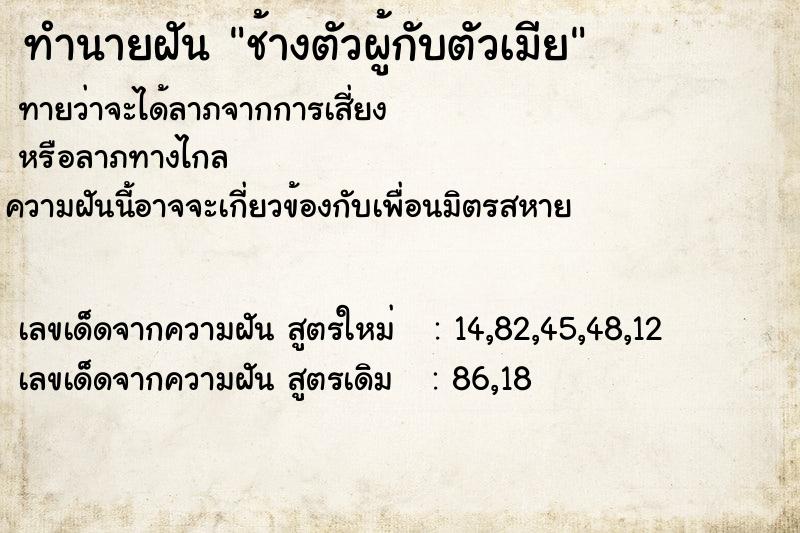 ทำนายฝัน ช้างตัวผู้กับตัวเมีย ทำนายฝัน ช้างตัวผู้กับตัวเมีย