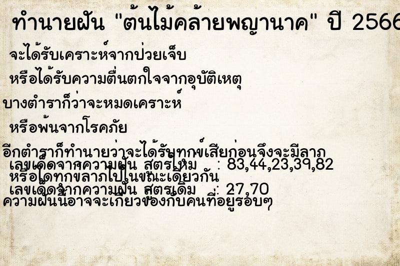 ทำนายฝัน ต้นไม้คล้ายพญานาค แม่นๆ ฟรี ด้วยตำราหนังสือทำนายฝันโบราณ ทำนายฝันต้นไม้คล้ายพญานาค