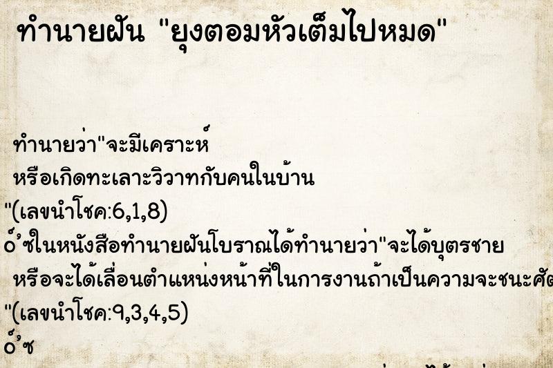 ทำนายฝันยุงตอมหัวเต็มไปหมด ทำนายฝันทำนายฝันยุงตอมหัวเต็มไปหมด