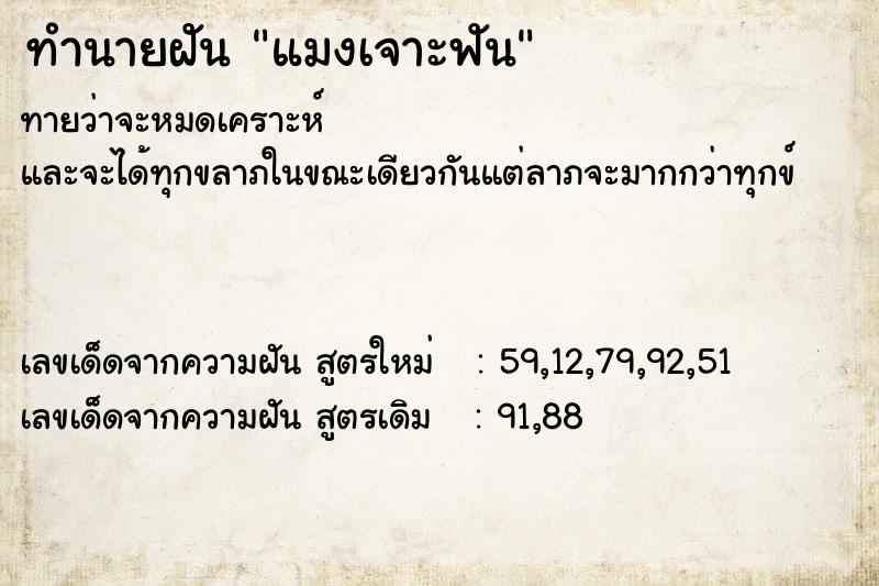 ทำนายฝัน แมงเจาะฟัน ทำนายฝัน แมงเจาะฟัน