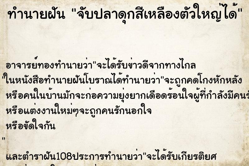 ทำนายฝันจับปลาดุกสีเหลืองตัวใหญ่ได้ ทำนายฝันทำนายฝันจับปลาดุกสีเหลืองตัวใหญ่ได้