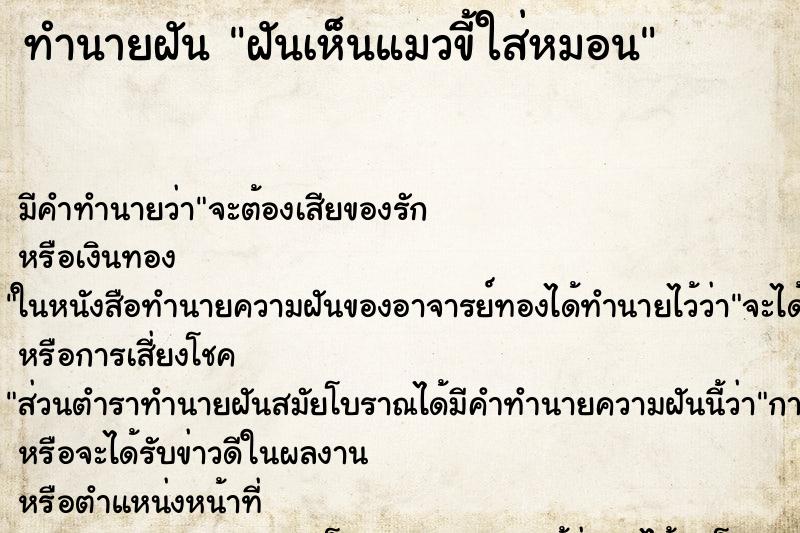 ทำนายฝัน ฝันเห็นแมวขี้ใส่หมอน