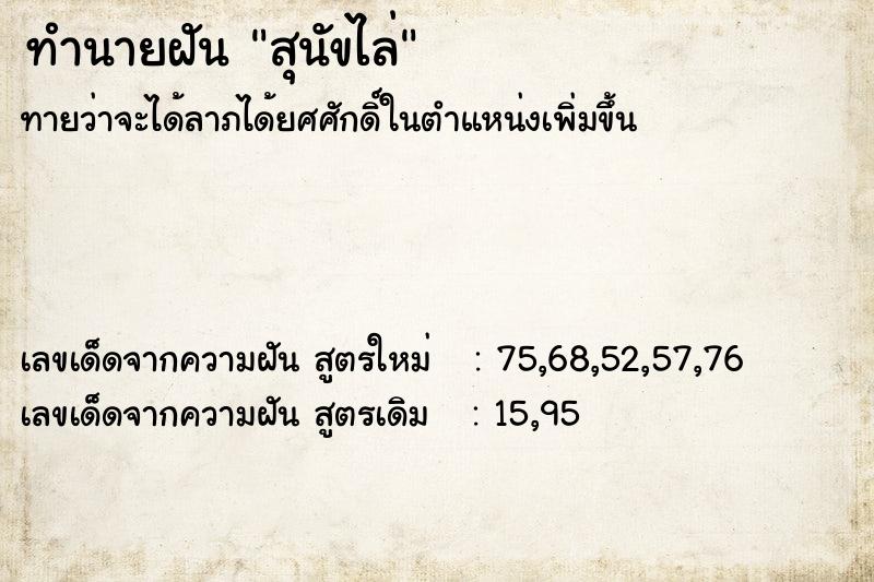 ทำนายฝันสุนัขไล่ ทำนายฝันทำนายฝันสุนัขไล่