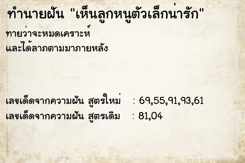 ทำนายฝันเห็นลูกหนูตัวเล็กน่ารัก ทำนายฝันทำนายฝันเห็นลูกหนูตัวเล็กน่ารัก