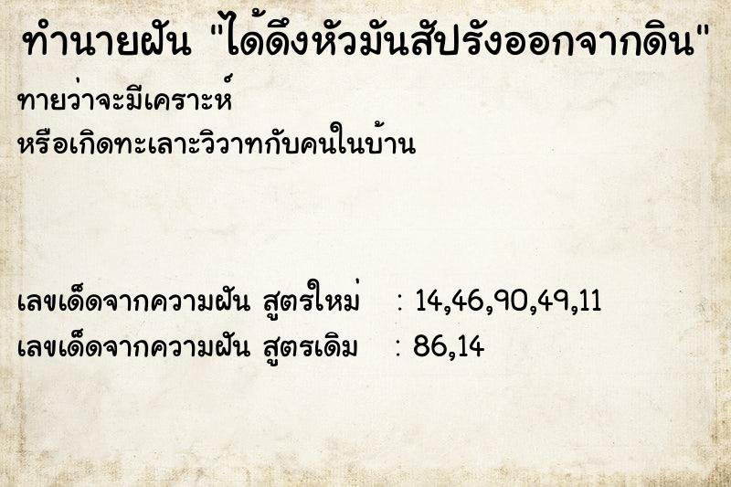 ทำนายฝันได้ดึงหัวมันสัปรังออกจากดิน ทำนายฝันทำนายฝันได้ดึงหัวมันสัปรังออกจากดิน