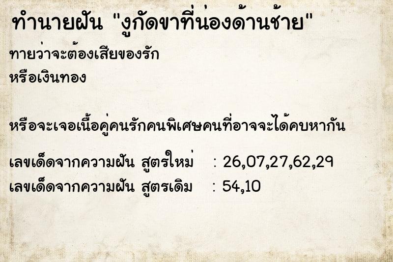 ทำนายฝันงูกัดขาที่น่องด้านช้าย ทำนายฝันทำนายฝันงูกัดขาที่น่องด้านช้าย