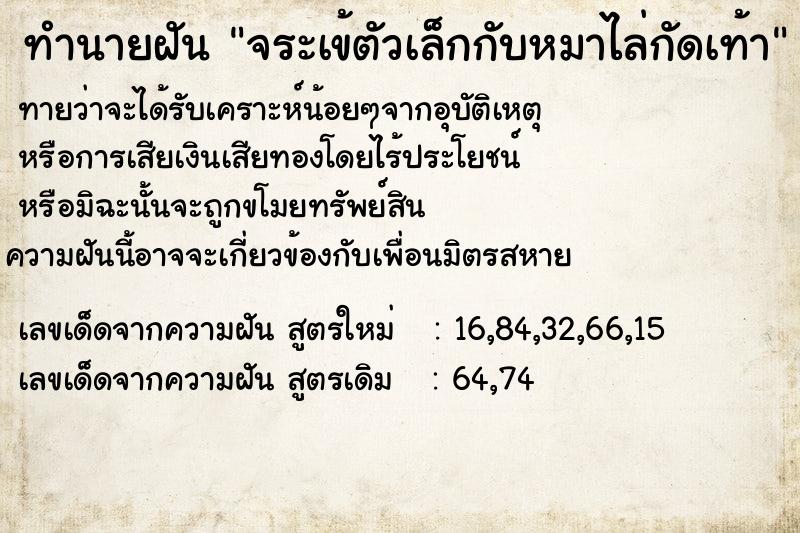 ทำนายฝันทำนายฝันจระเข้ตัวเล็กกับหมาไล่กัดเท้า