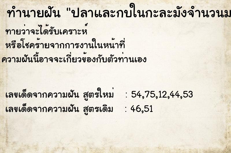 ทำนายฝันปลาและกบในกะละมังจำนวนมาก ทำนายฝันทำนายฝันปลาและกบในกะละมังจำนวนมาก
