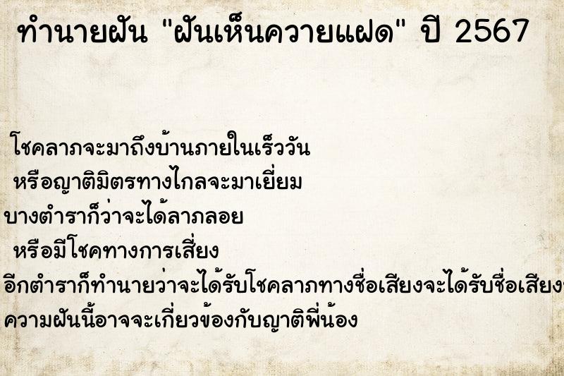 ทำนายฝันฝันเห็นควายแฝด ทำนายฝันทำนายฝันฝันเห็นควายแฝด