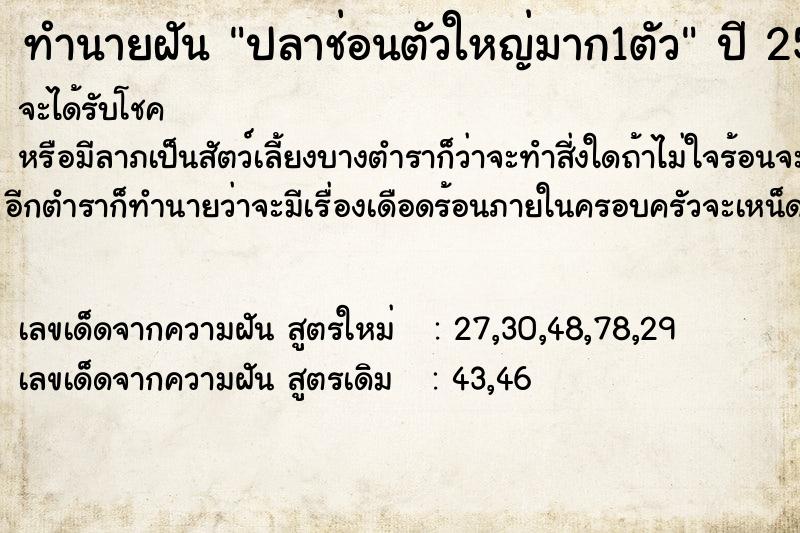 ทำนายฝันปลาช่อนตัวใหญ่มาก1ตัว ทำนายฝันทำนายฝันปลาช่อนตัวใหญ่มาก1ตัว