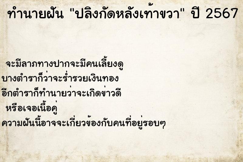 ทำนายฝัน ปลิงกัดหลังเท้าขวา ทำนายฝัน ปลิงกัดหลังเท้าขวา