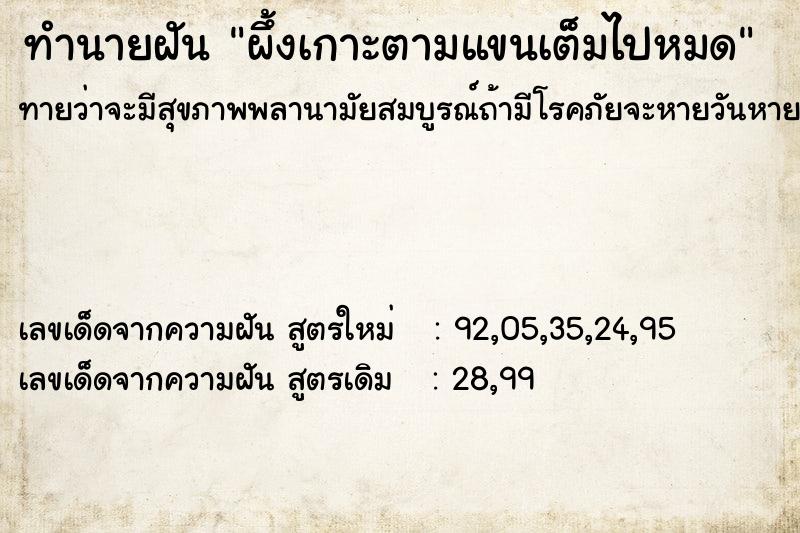 ทำนายฝันผึ้งเกาะตามแขนเต็มไปหมด ทำนายฝันทำนายฝันผึ้งเกาะตามแขนเต็มไปหมด