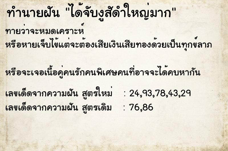 ทำนายฝันได้จับงูสัดำใหญ่มาก ทำนายฝันทำนายฝันได้จับงูสัดำใหญ่มาก