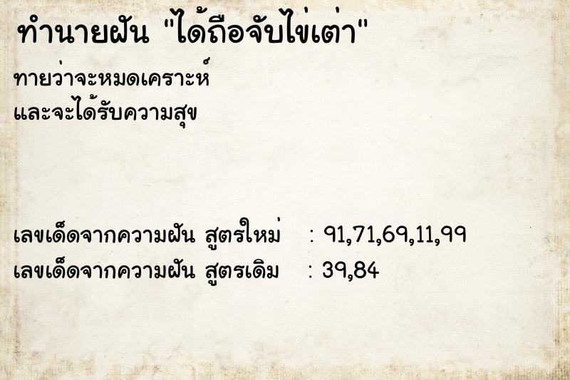 ทำนายฝันได้ถือจับไข่เต่า ทำนายฝันทำนายฝันได้ถือจับไข่เต่า