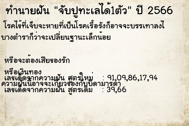 ทำนายฝันจับปูทะเลได้1ตัว ทำนายฝันทำนายฝันจับปูทะเลได้1ตัว
