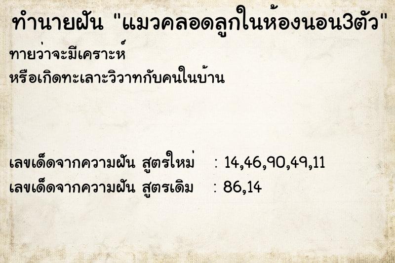 ทำนายฝันทำนายฝันแมวคลอดลูกในห้องนอน3ตัว
