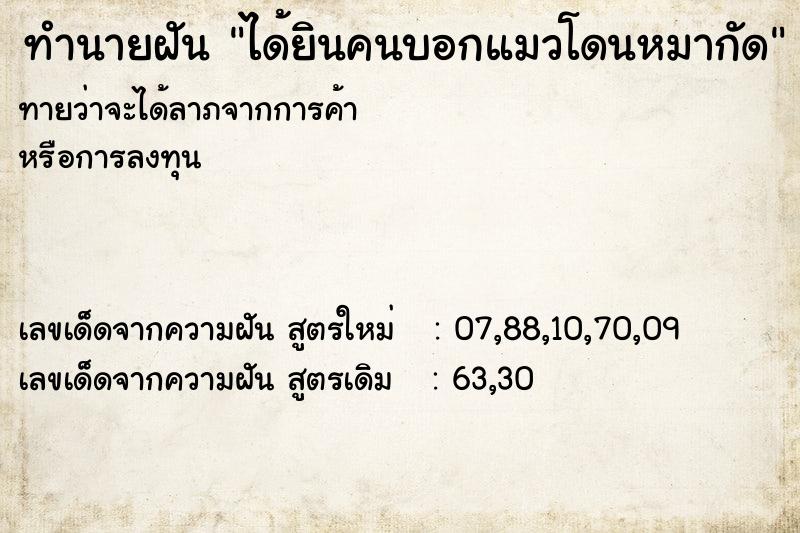 ทำนายฝันได้ยินคนบอกแมวโดนหมากัด ทำนายฝันทำนายฝันได้ยินคนบอกแมวโดนหมากัด