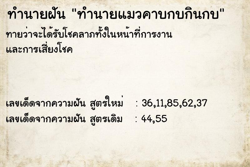 ทำนายฝันทำนายฝันทำนายแมวคาบกบกินกบ