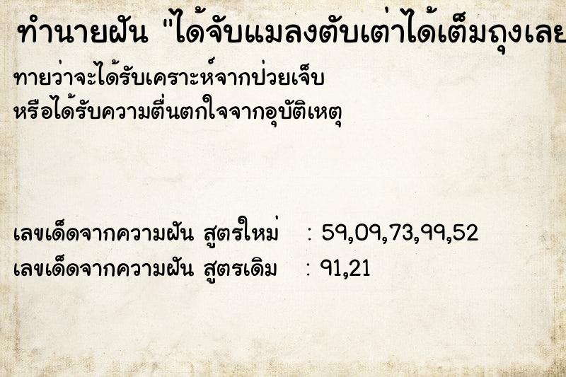 ทำนายฝันได้จับแมลงตับเต่าได้เต็มถุงเลย ทำนายฝันทำนายฝันได้จับแมลงตับเต่าได้เต็มถุงเลย