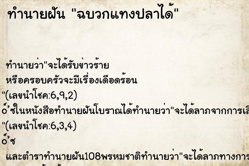 ทำนายฝันฉบวกแทงปลาได้ ทำนายฝันทำนายฝันฉบวกแทงปลาได้