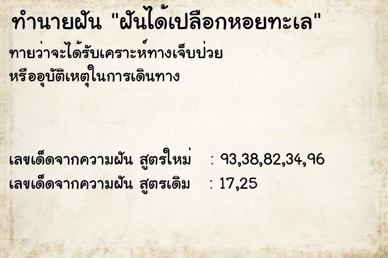 ทำนายฝันฝันได้เปลือกหอยทะเล ทำนายฝันทำนายฝันฝันได้เปลือกหอยทะเล