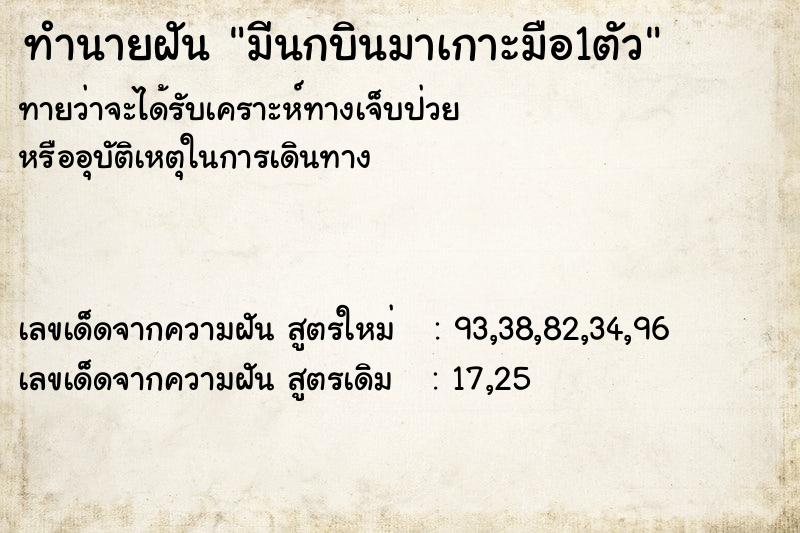 ทำนายฝันทำนายฝันมีนกบินมาเกาะมือ1ตัว