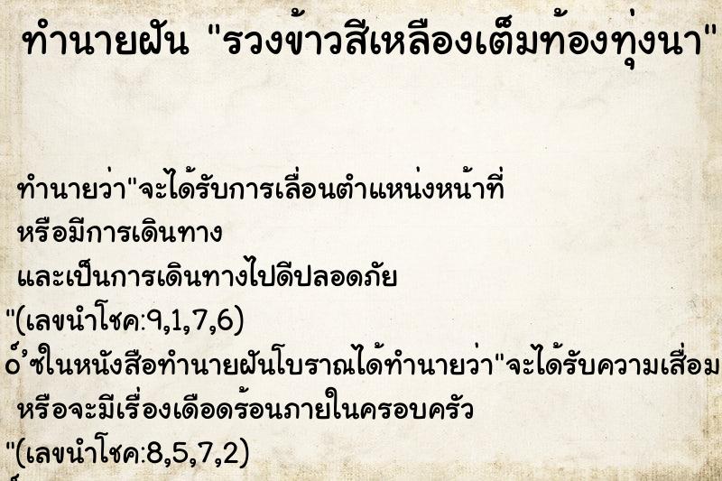 ทำนายฝัน รวงข้าวสีเหลืองเต็มท้องทุ่งนา