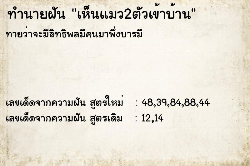 ทำนายฝันเห็นแมว2ตัวเข้าบ้าน ทำนายฝันทำนายฝันเห็นแมว2ตัวเข้าบ้าน