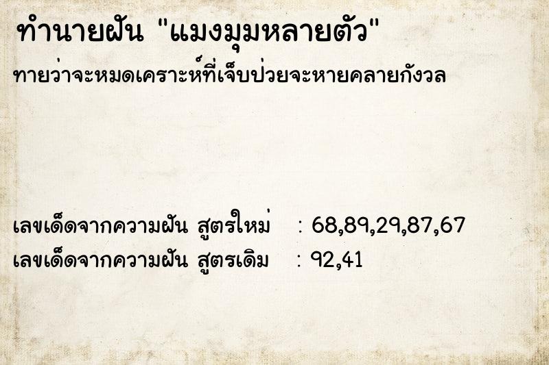 ทำนายฝัน แมงมุมหลายตัว ทำนายฝัน แมงมุมหลายตัว