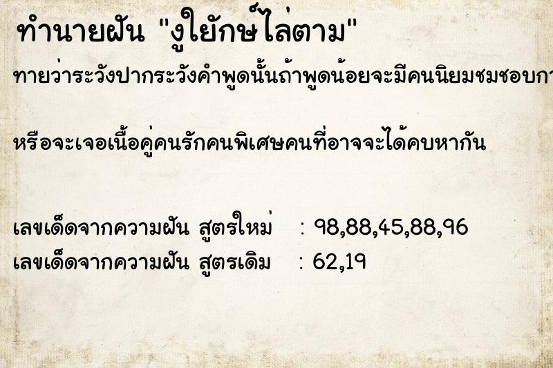 ทำนายฝันงูใยักษ์ไล่ตาม ทำนายฝันทำนายฝันงูใยักษ์ไล่ตาม
