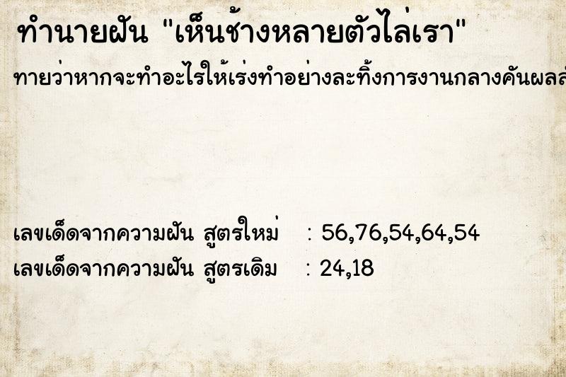 ทำนายฝันเห็นช้างหลายตัวไล่เรา ทำนายฝันทำนายฝันเห็นช้างหลายตัวไล่เรา