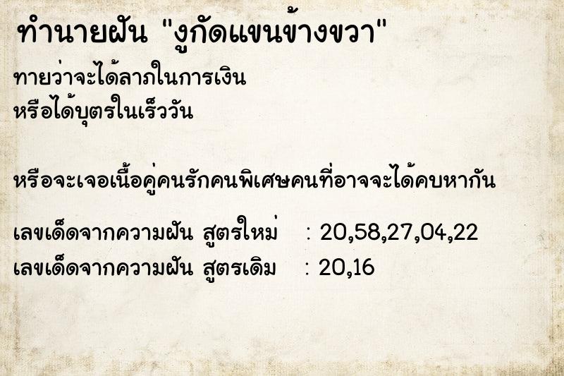 ทำนายฝันงูกัดแขนข้างขวา ทำนายฝันทำนายฝันงูกัดแขนข้างขวา