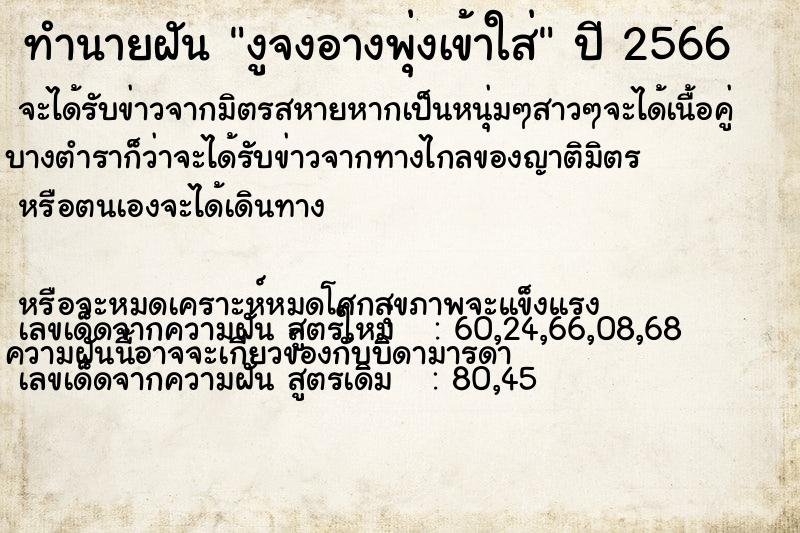 ทำนายฝันงูจงอางพุ่งเข้าใส่ ทำนายฝันทำนายฝันงูจงอางพุ่งเข้าใส่