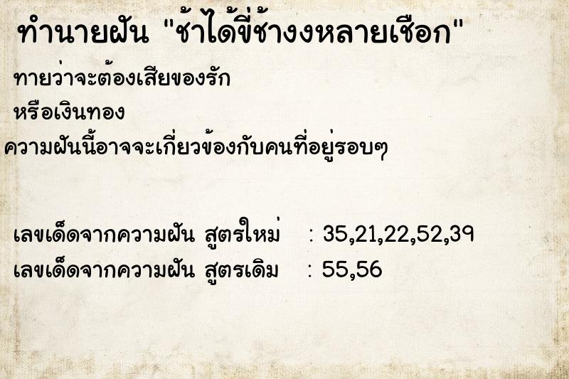 ทำนายฝันช้าได้ขี่ช้างงหลายเชือก ทำนายฝันทำนายฝันช้าได้ขี่ช้างงหลายเชือก