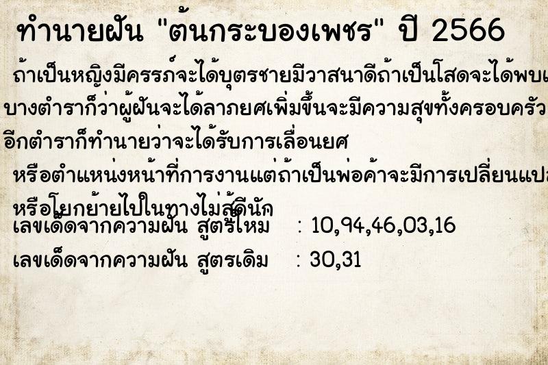 ทำนายฝัน ต้นกระบองเพชร แม่นๆ ฟรี ด้วยตำราหนังสือทำนายฝันโบราณ ทำนายฝันต้นกระบองเพชร