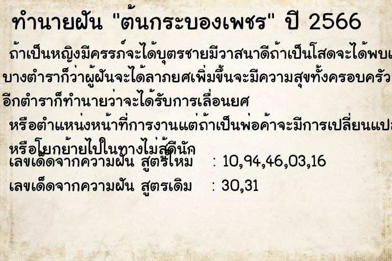 ทำนายฝัน ต้นกระบองเพชร ตำราโบราณ แม่นที่สุดในโลก